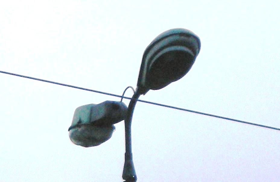 DSCN5634