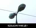 DSCN5634