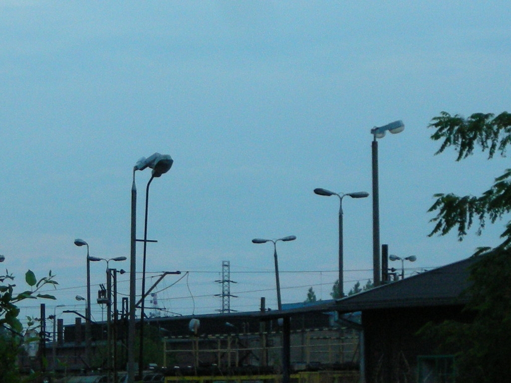 DSCN5635