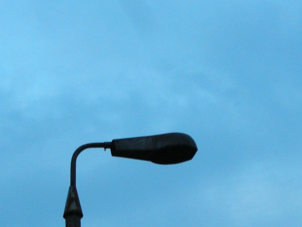 DSCN5636