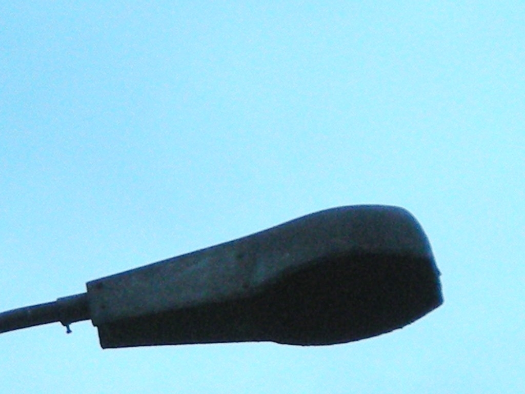 DSCN5641