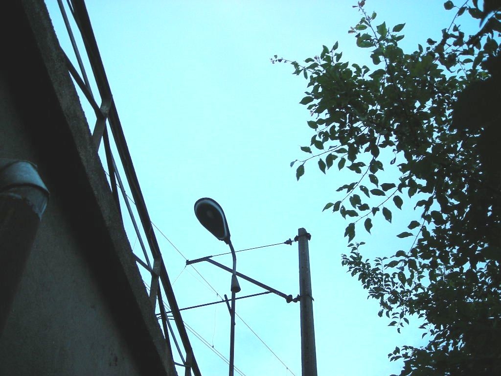 DSCN5642