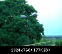DSCN5644