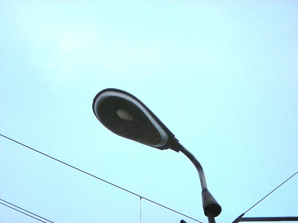 dSCN5654