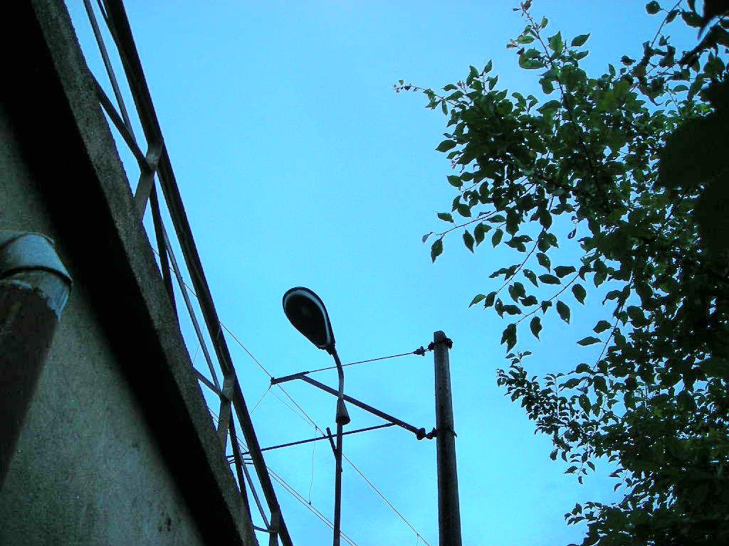 dSCN5655