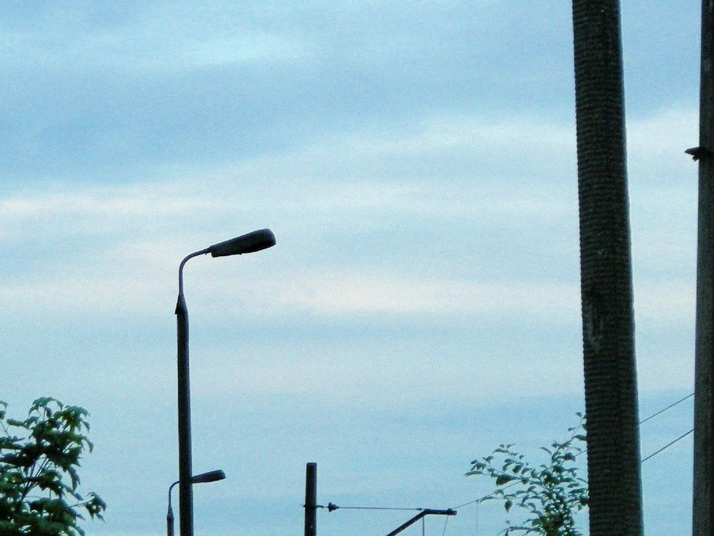 dSCN5657