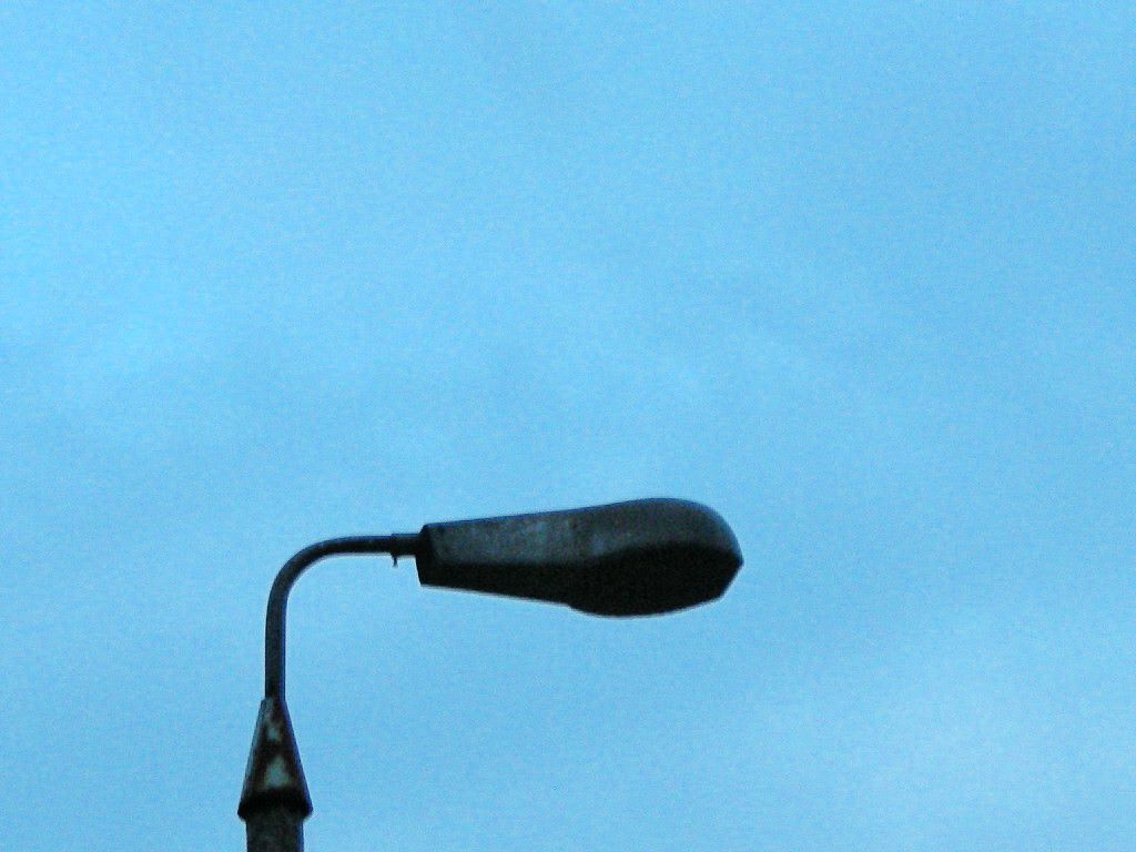 dSCN5658