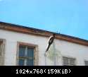 DSCN5801