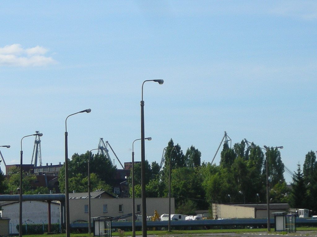 DSCN5805