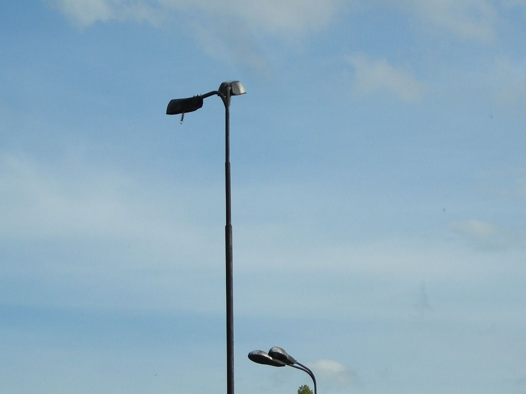 DSCN5821