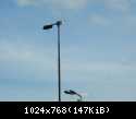 DSCN5821