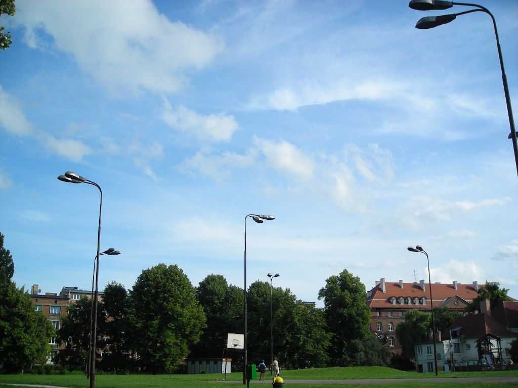 DSCN5824