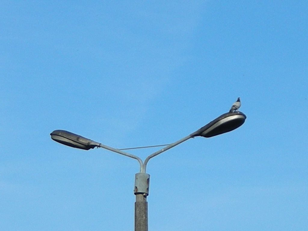 DSCN5830
