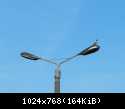 DSCN5830