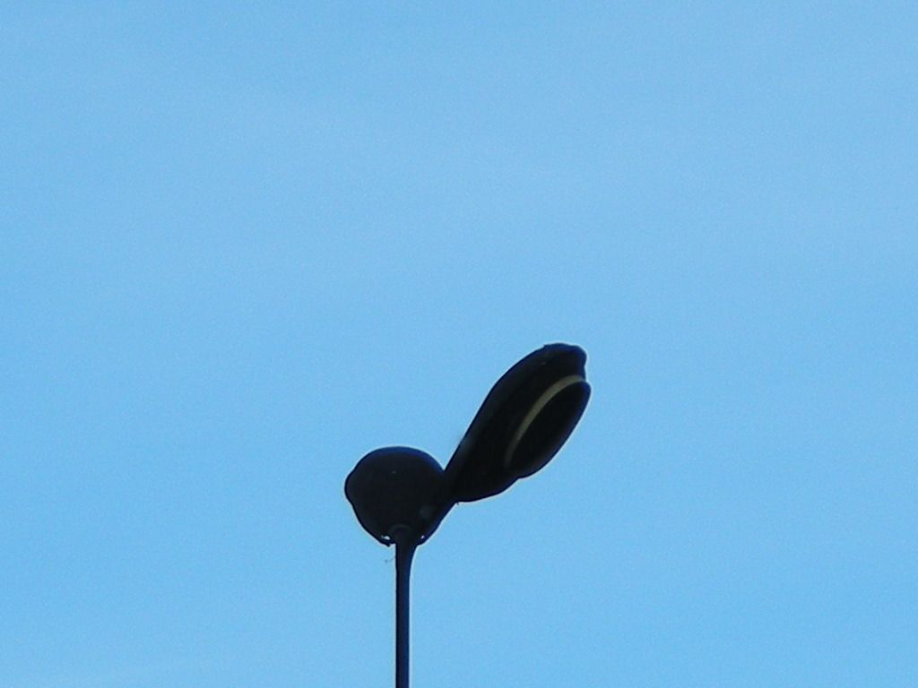 DSCN5831