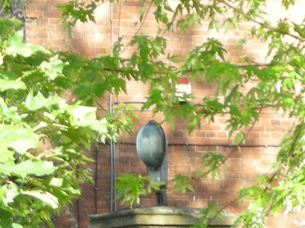 DSCN5835