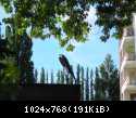 DSCN5838