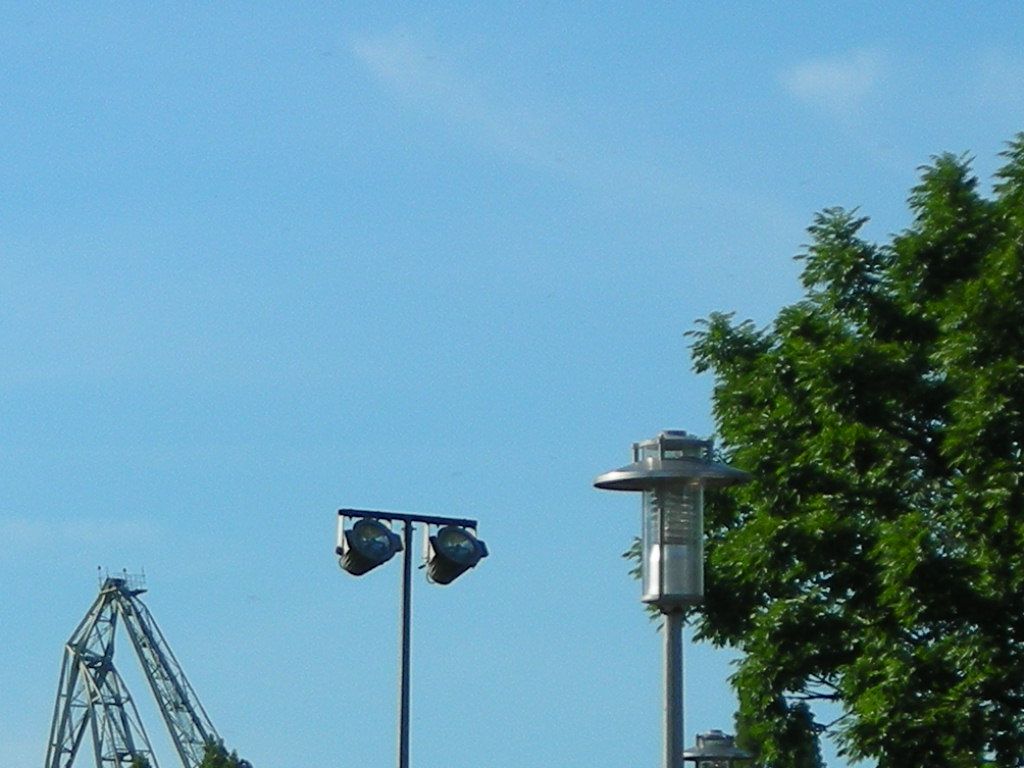 DSCN5841