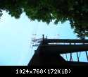 DSCN5847