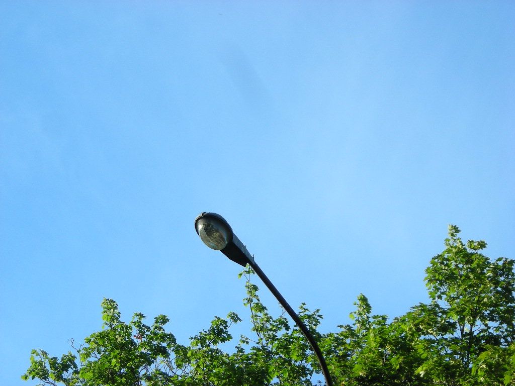 DSCN5848