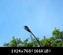 DSCN5848