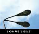 dSCN5849
