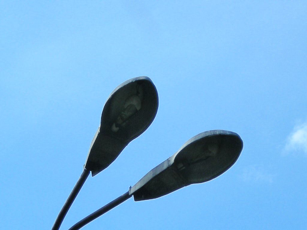 dSCN5850