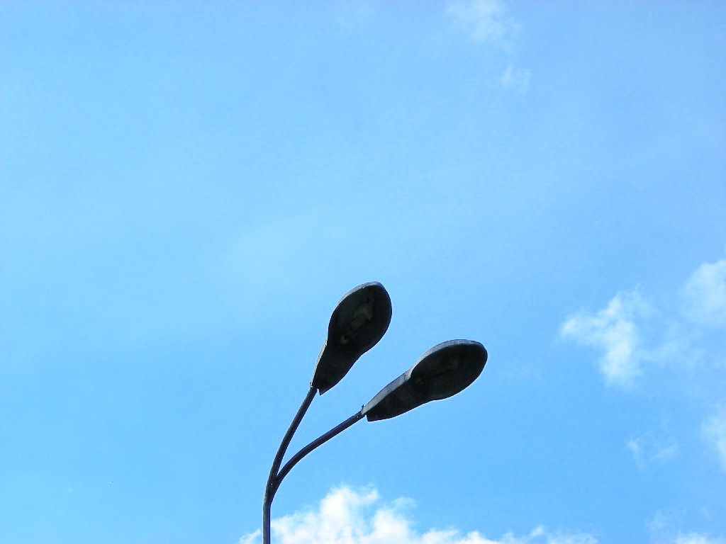 dSCN5851