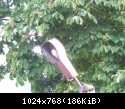 DSCN5854