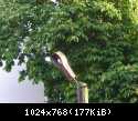DSCN5855