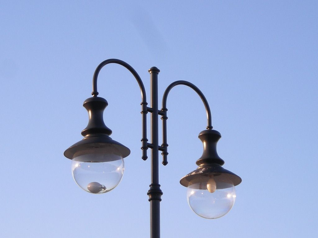 DSCN5866