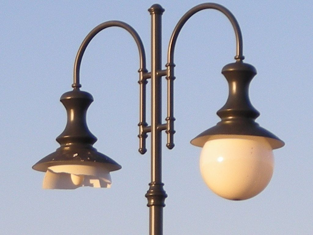 DSCN5875