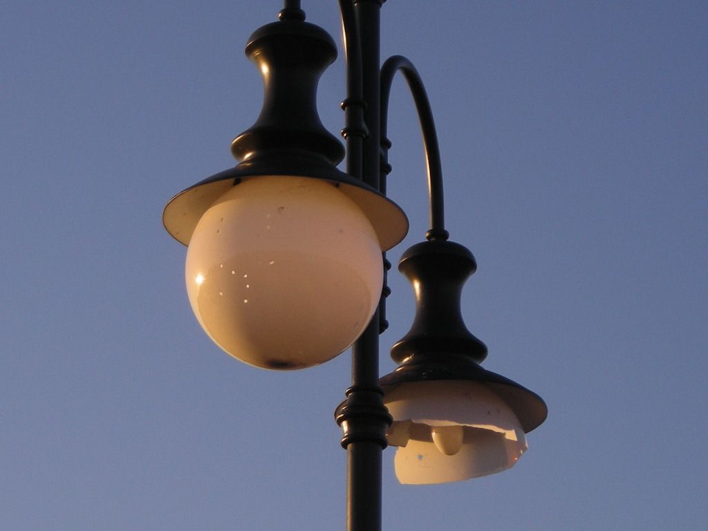 DSCN5878