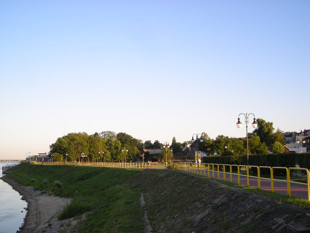 DSCN5881
