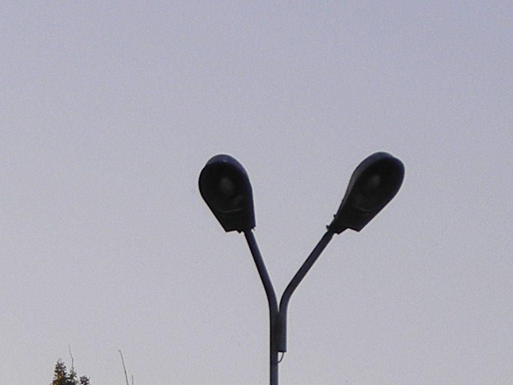 DSCN5887