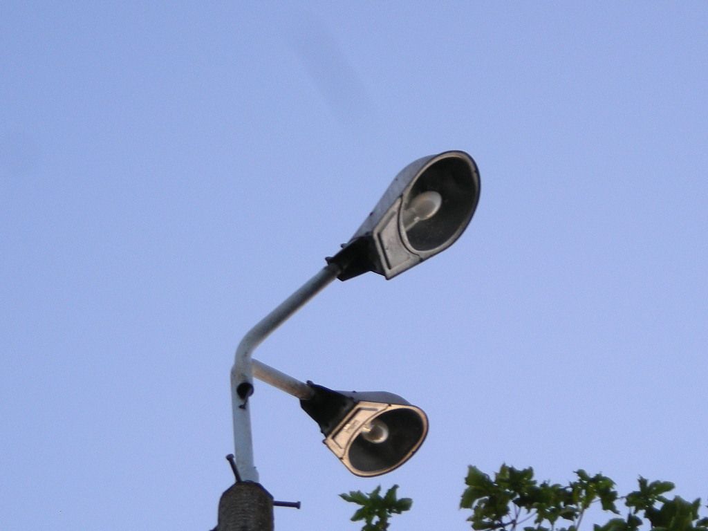 DSCN5888
