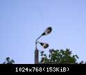 DSCN5889