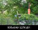 DSCN5891