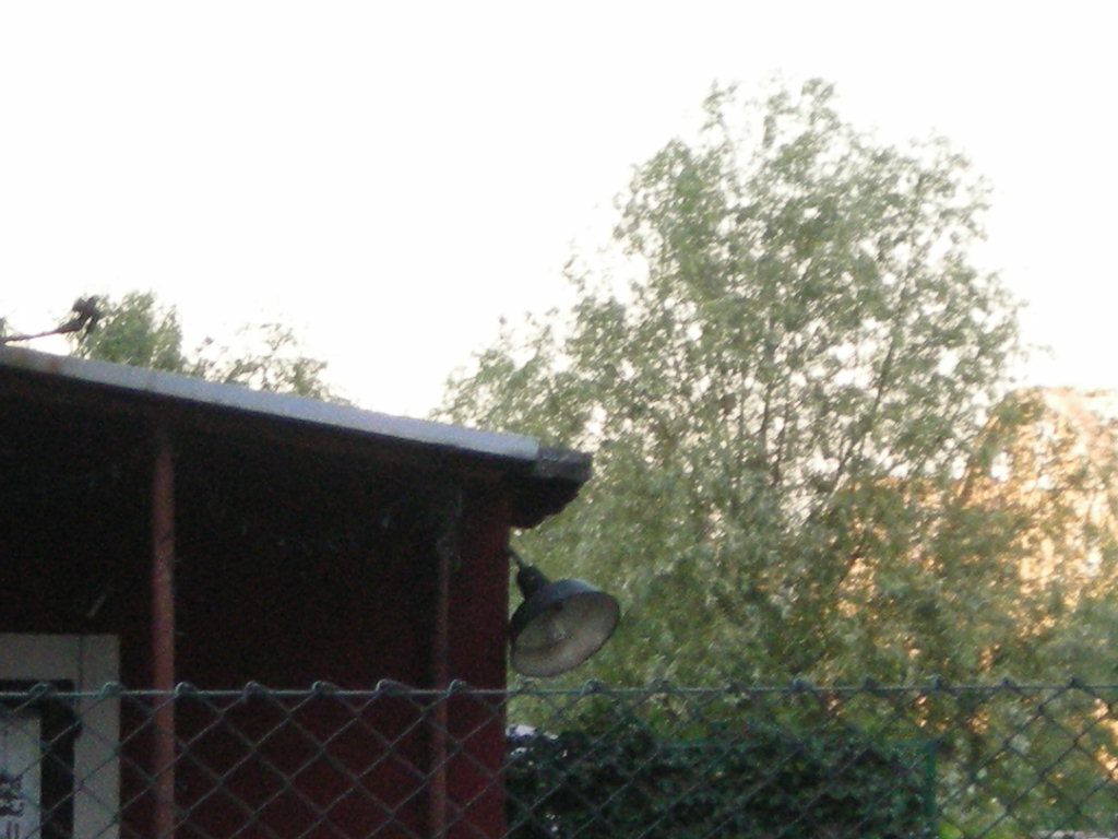 DSCN5897