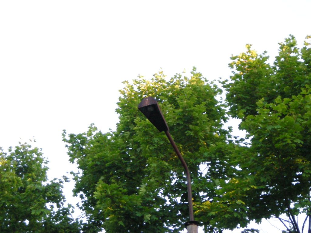 DSCN5898