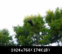 DSCN5898
