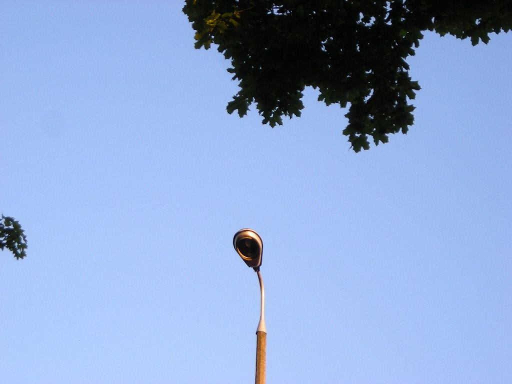 DSCN5902