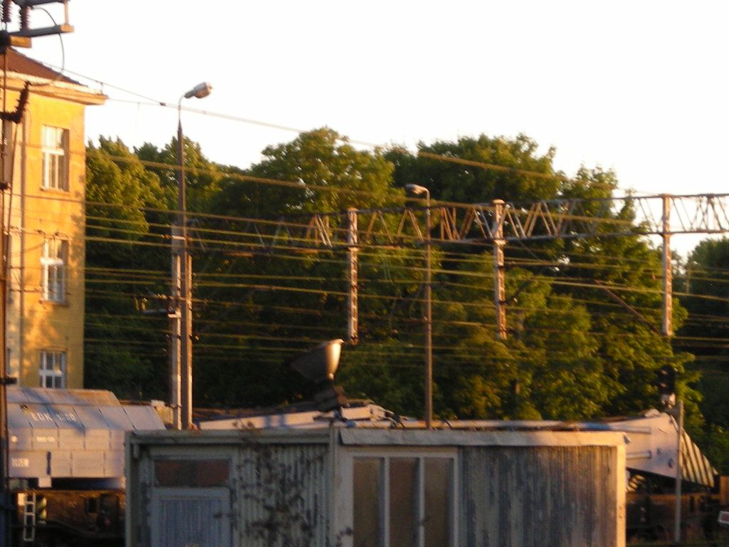 DSCN5904