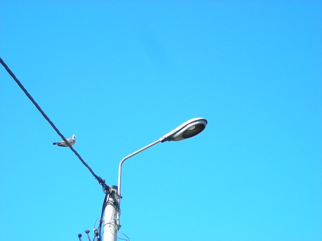 DSCN5920
