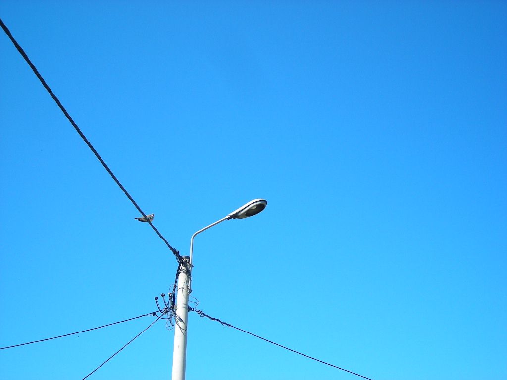 DSCN5921