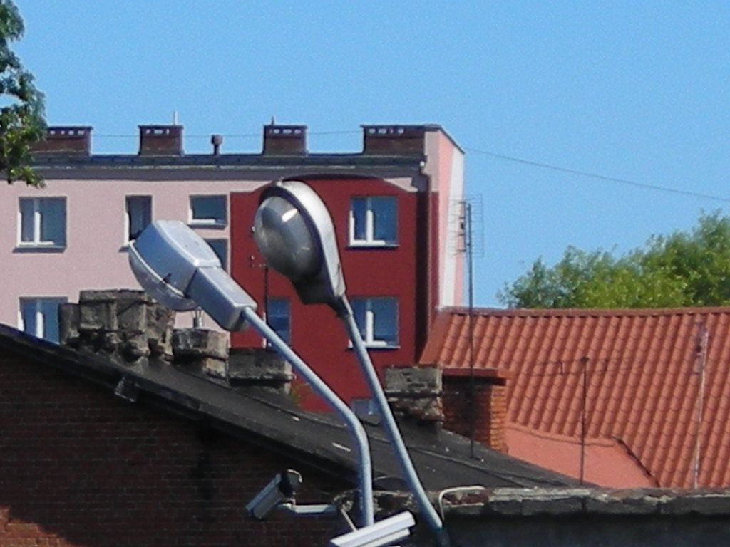 DSCN5923