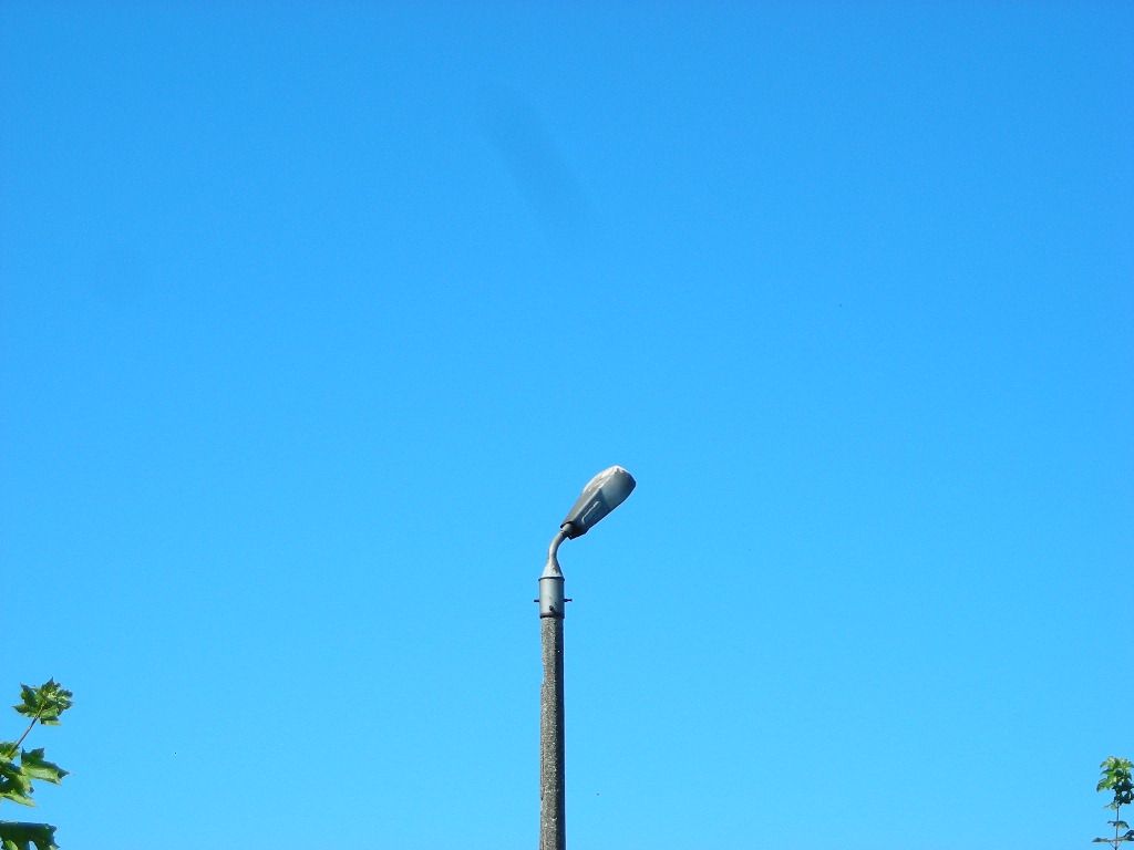 DSCN5925