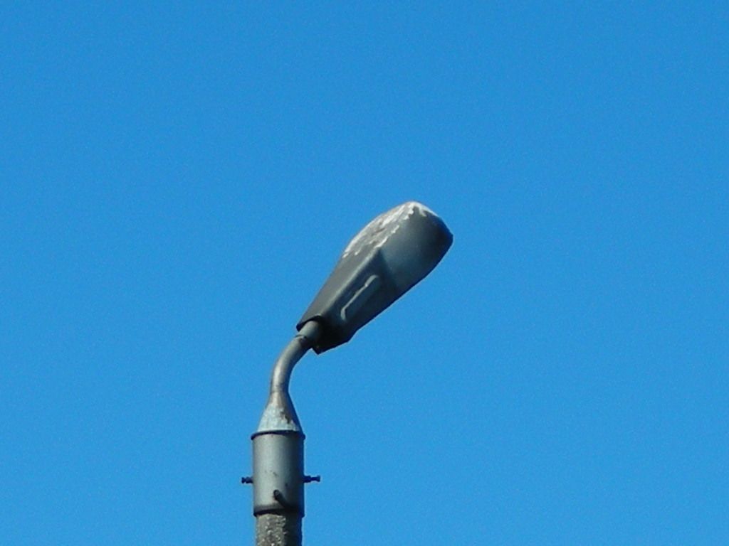 DSCN5926