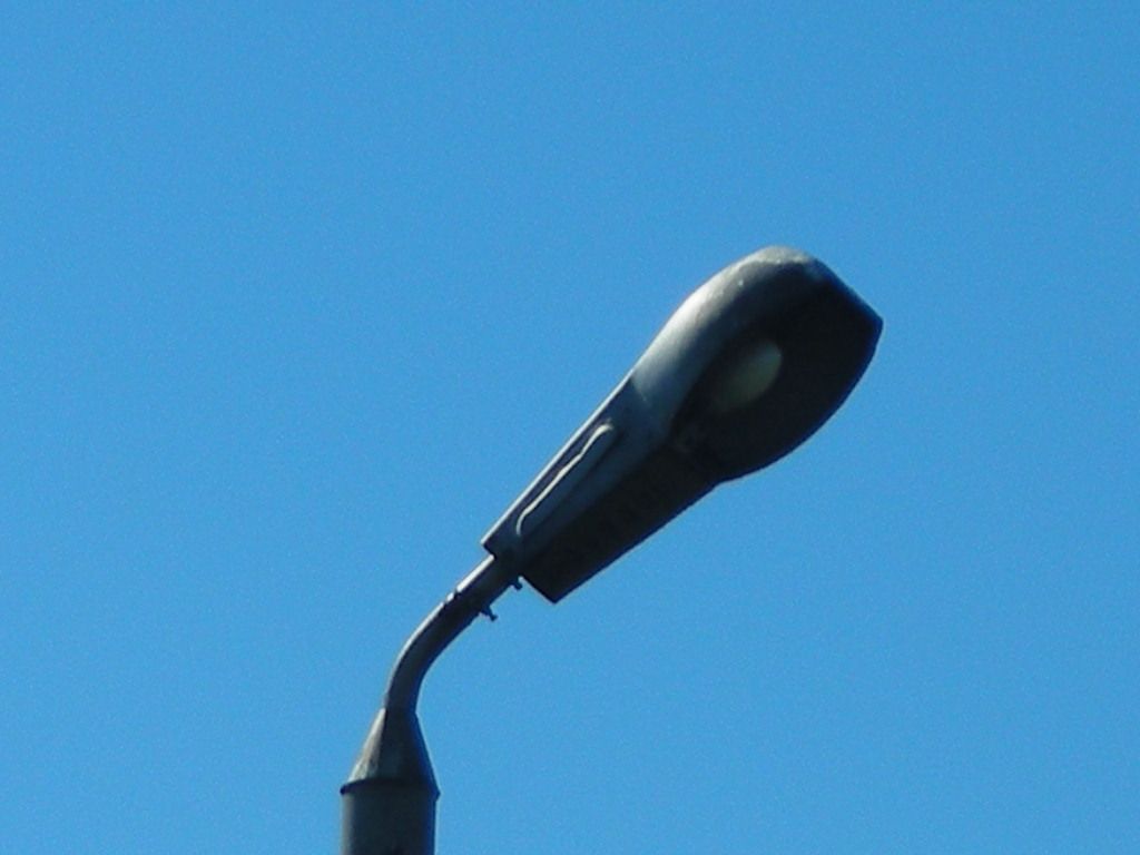 DSCN5927