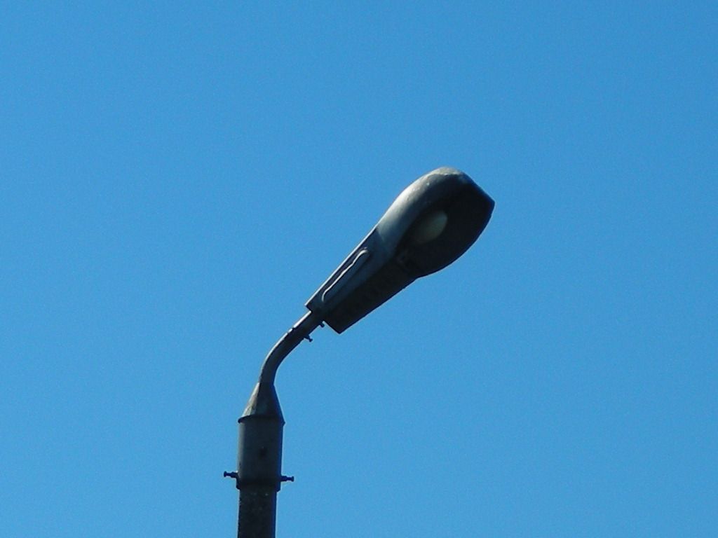 DSCN5928